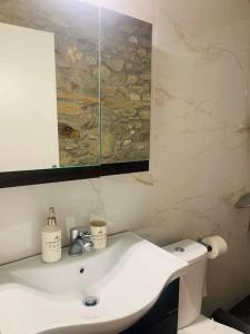 een badkamer met een wastafel, een spiegel en een toilet bij Βίλα Βασιλική in Elassona