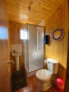 y baño con ducha, aseo y lavamanos. en Cabañas Rumi Loft, en Valdivia