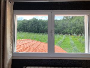 Um jardim no exterior de Casa Carvalhal - Adults Only