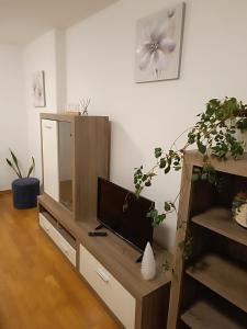 a living room with a television on a wooden entertainment center at Trnsko in Zagreb