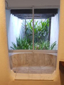 a window with a view of a plant at Les Jardins de Rio Boutique Hotel in Rio de Janeiro