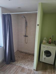 uma casa de banho com um chuveiro e uma máquina de lavar roupa em Gite lapins em Fromelles