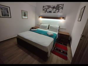 1 dormitorio con 1 cama en una habitación en ArokariApartments, en Koroni