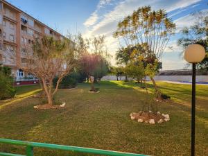 two trees in a park with a building in the background at Skyline 21 in Torrevieja
