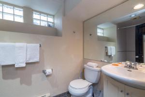 y baño con aseo, lavabo y espejo. en Manitou Lodge 4 Hotel Room, en Telluride