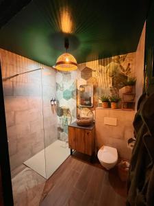 Travel Room Bordeaux : Amazo'nid : حمام مع دش ومرحاض