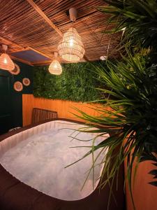 Travel Room Bordeaux : Amazo'nid : طاولة في غرفة بها نباتات وأضواء