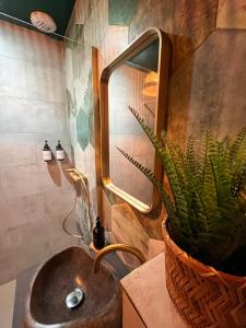 Travel Room Bordeaux : Amazo'nid : حمام مع حوض وزرع الفخار