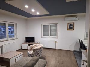 TV a/nebo společenská místnost v ubytování Apartman Knežević