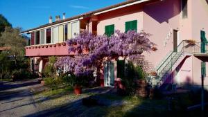un edificio con un árbol con flores púrpuras. en La Casa Rosa, en Borghetto di Vara