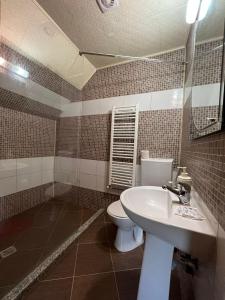 a bathroom with a sink and a toilet and a mirror at CONACUL DE SUB MUNTE in Novaci-Străini
