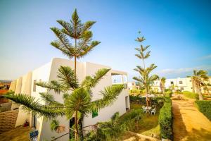 deux palmiers devant un bâtiment blanc dans l'établissement Villa À louer AGLOU PLAGE TIZNIT, à Aglou