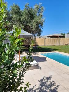a backyard with a swimming pool and a table and umbrella at Olivos Luján in Ciudad Lujan de Cuyo
