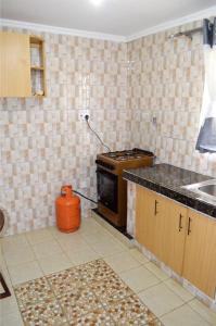 a kitchen with a stove and a sink in it at ELDORET STAYS in Eldoret