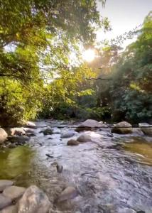 un río con rocas y el sol brillando entre los árboles en Vila Torres, en Cachoeiras de Macacu