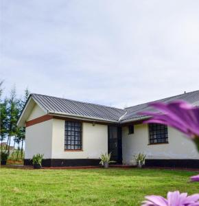 una casa blanca con una cometa púrpura delante de ella en ELDORET STAYS, en Eldoret