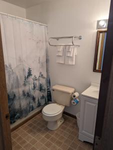 a bathroom with a toilet and a shower curtain at The Hibernation Station in Sterling