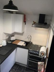 a small kitchen with a stove and a sink at Dolgoch Mill House Annexe in Llanfair Caereinion +9 photos