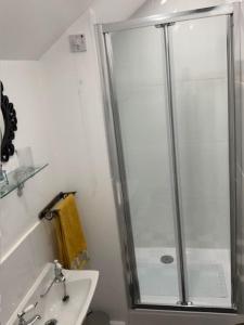 a bathroom with a shower and a sink at Dolgoch Mill House Annexe in Llanfair Caereinion