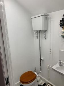 a bathroom with a toilet with a wooden toilet seat at Dolgoch Mill House Annexe in Llanfair Caereinion