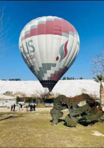 a hot air balloon flying over a cactus at HAPPY HOUSE 1 Pamukkale in Pamukkale
