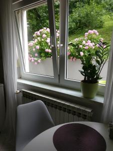 Zahrada ubytování Apartman Malina