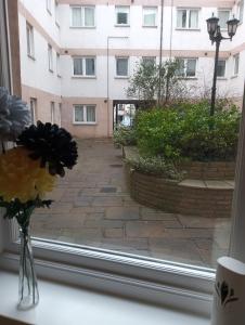 un jarrón de flores en el alféizar de una ventana con un edificio en Bijou Apartment en Berwick-Upon-Tweed