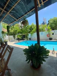 a potted plant sitting next to a swimming pool at THEMATIC POUSADA in João Pessoa