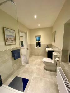 uma casa de banho com um WC e uma cabina de duche em vidro. em Modern family home em Castleisland