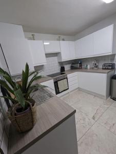 a kitchen with a potted plant sitting on a counter at 3-bed Home For Football Fans in Liverpool