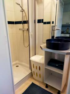 ヴィトレにあるT2 entre rivière et château centre Vitréの洗面台とシャワー付きのバスルーム