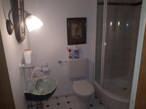 PremにあるRustico di Angeloのバスルーム(トイレ、洗面台、シャワー付)