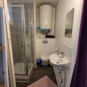 La salle de bains est pourvue d'une douche, de toilettes et d'un lavabo. dans l'établissement LE STUDIO DE L'ILE, à Nantes