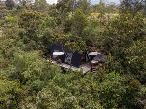 Pemandangan dari udara bagi Ecoluxury Glamping