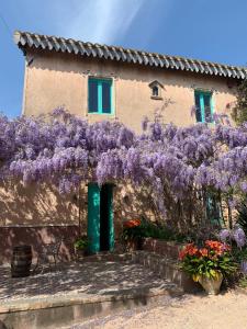a house with purple wisterias on the side of it at Corte Boero Bed&Breakfast in Capoterra