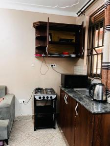 坎帕拉的住宿－Kampala Flat，小厨房配有炉灶和水槽