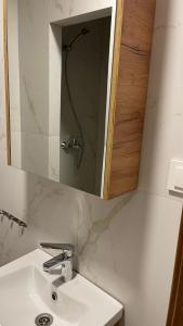 a bathroom with a sink and a mirror at Central Boulevard Apartment 2 in Šiauliai