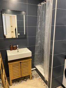 une salle de bain avec lavabo et douche dans l'établissement Un nid douillet- parking privé-résidence fermée-45m2, à Aubervilliers 20 autres photos