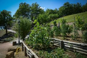 Giardino di Stunning villa with pool, Jacuzzi and wonderful view