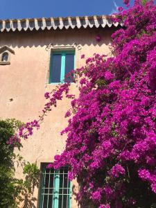un edificio con flores púrpuras a su lado en Corte Boero Bed&Breakfast en Capoterra