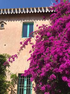 A garden outside Corte Boero Bed&Breakfast