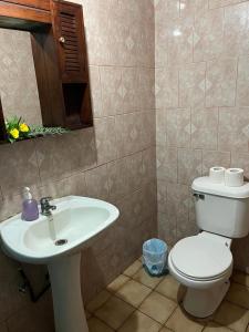 a bathroom with a toilet and a sink at Hare o Koro (Ex Vai Kapua) in Hanga Roa