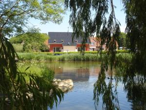 a view of a pond with a house in the background at Ferienhaus Lachmöwe in Fehmarn