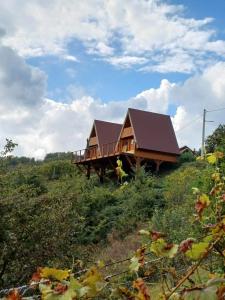 a house on the side of a hill at Glamping Čelig 