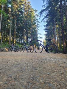 a group of bikes parked on a dirt road at Apartament BESKIDLOVE in Węgierska Górka