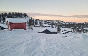 Flott Feriehus - Tjørhom v zimě