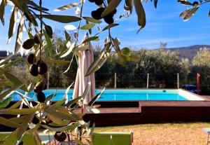Agriturismo Villa Guarnaschelli内部或周边的泳池