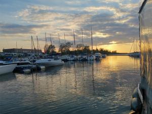 a group of boats docked in a marina at sunset at Landdomizil Zeißig in Hoyerswerda
