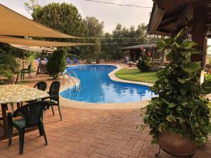 Bazén v ubytování Small Paradise Palermo nebo v jeho okolí