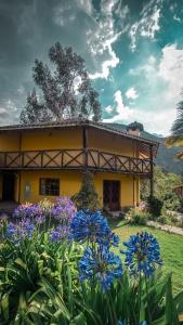 una casa amarilla con flores azules delante de ella en Andean Wings Valley, en Urubamba